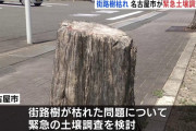 世間「ビッグモーターが街路樹引き抜いたんだギャオオオン！！」「ダイハツの不正？ふーん」