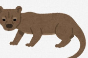 【動物】日本で唯一の「フォッサ」が死ぬ　上野動物園