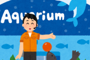 【急募】関東の水族館デートに自信ニキビ