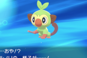 【悲報】ポケモンさん意味不明な進化条件が多すぎる