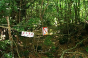 「日本の青木ヶ原樹海に言及しないとは」勇気が必要な世界の心霊スポットが話題