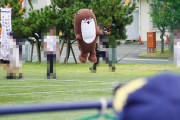 【艦これ】新春ライブでボクカワウソが更に進化してたけど、どこまで進化してしまうんだろう