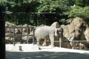【衝撃】デンマークの動物園、来園者達に『とんでもない事』を言ってしまう・・・・