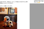 ぬい活を禁止した飲食店、炎上