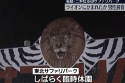 【福島】東北サファリパーク、ライオンに首を噛まれた男性飼育員が死亡