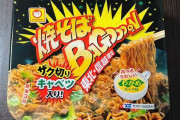バカ「ペヤングうめぇ！」ワイ「バゴォーンの美味しさ知らないまま人生終えるんだろうな･･･」