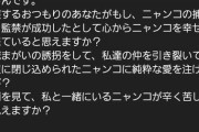 【悲報】大人気猫Youtuberもちまるさん、体調を崩してしまい……?