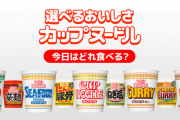 日清カップヌードルで好きな味