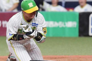 阪神・梅野選手がデッドボールを受け骨折→ヤクルト球団サイトはぶつけた投手を「好リリーフ」と称賛…