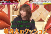 【悲報】本田翼ちゃんの兄、アニメの等身大抱き枕を使って寝ている事を妹に暴露されてしまう