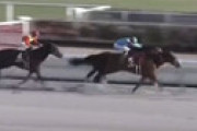【動画】「東海ステークス」 荻野騎手がスタート直後に落馬 ⇒ 空馬のヴァンヤールが大外から差し切り1着ｗｗ