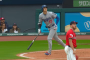大谷翔平 20本塁打 35打点←これ