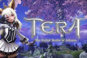 今年10周年を迎えたMMORPG「TERA」に個人・PTのDPSを計測できる「ダメージメーター」が実装、公式よりダメージメーターに関するアンケートも【プレイヤーの反応】