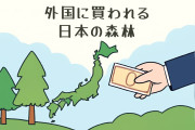 外国に買われた「日本の森林」昨年だけで東京ドーム81個分【タイ人の反応】