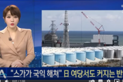 韓国紙「日本の与党議員も汚染水放流に反発 ... "菅が国益を害する" 」