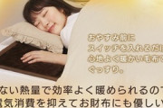 【朗報】ワイ、電気毛布を買って生活がガラリと変わる