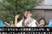 【胸糞動画】日本保守党・北村晴男弁護士「亡くなった安倍晋三さんが、我々に向かってエールを送ってくれてると思ってます！」