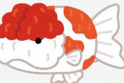 【悲報】金魚飼育、一般的にいい印象を持たれてなかった？