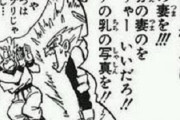 【悲報】ドラゴンボールのベジータさん、名言が一つしかない
