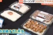 ローソンのコーン弁当、中国で話題になってしまう… 「かわいそう」「本当まともなもの食ってない」