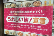 【悲報】セブンイレブン、低価格戦略「うれしい値」をわずか半年で見直し→おにぎり一斉値上げへｗｗｗ