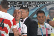 ◆ラグビー◆W杯準々決勝　日本代表のW杯終了のお知らせ…南アに刃が立たず