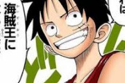 【悲報】ルフィさん、海賊を名乗っておきながらまったく悪事をしないｗｗｗｗｗ