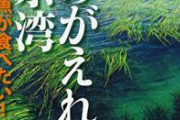 【閲覧注意】梅雨期の東京湾、ガチでヤバい