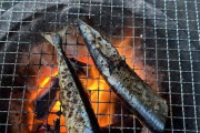 【画像】七輪で秋刀魚を焼くで