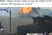 韓国：乗員乗客181名を乗せた韓国航空機が滑走路を外れ壁に激突・炎上…救助活動が続く[海外の反応]