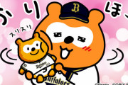 【オリ報】バファローズポンタさんぬいぐるみを抱きしめる