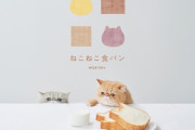 【かわE！】ねこの形の食パン「ねこねこ食パン」のオンライン販売がスタート！可愛くて食べられないよ！