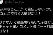 【悲報】ワイ、推しのVTuberに怒られてしまう…?