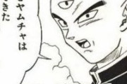 【ドラゴンボール】天津飯「チャオズは置いてきた。ハッキリ言って、この戦いには付いてこれないからね」←これさｗｗｗ