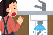【急募】『詰まったシンクの排水溝』を治す方法ｗｗｗｗ