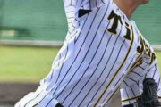 阪神鈴木が初実戦で２回完全「大したもの」矢野監督