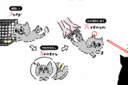 猫のTNRについてどう思いますか？