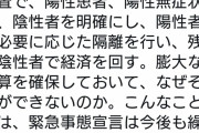 小沢一郎「国民一斉検査で、陽性患者、陽性無症状者、陰性者を明確にする。なぜそれができないのか」