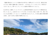 【速報】ムスリムが遺体を勝手に埋める問題、掘り起こして火葬したらよくね？