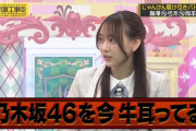 【乃木坂46】本日の名言 『梅さんは今、乃木坂を牛耳ってる』