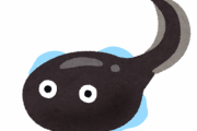 【画像】お前らのアソコ、このオタマジャクシに勝てんの？