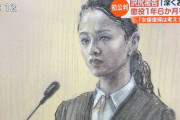 法廷画家って普通に傍聴席から裁判の様子を描いてるんだな