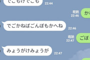 【すごいｗ】秋田県の姉妹のラインが話題(･∀･)