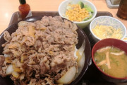 すき家ワイ「牛丼特盛1つ。あとこのーチーズ？って奴トッピングしといて」