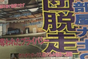 現役の力士9人が脱走中ww