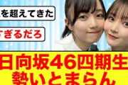 【朗報】日向坂46四期生からまた重大発表が！！【日向坂46】