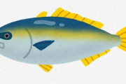 ブリとかいううまい魚