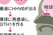 【朗報】鬱は甘えじゃなくて病気だったことが証明されるwwww
