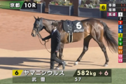 【雅S】ヤマニンウルス＆武豊騎手がｷﾀ━━━━(ﾟ∀ﾟ)━━━━!!