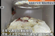 ケーキ崩れちゃった←やっぱり冷凍時間の短縮が原因じゃない？
